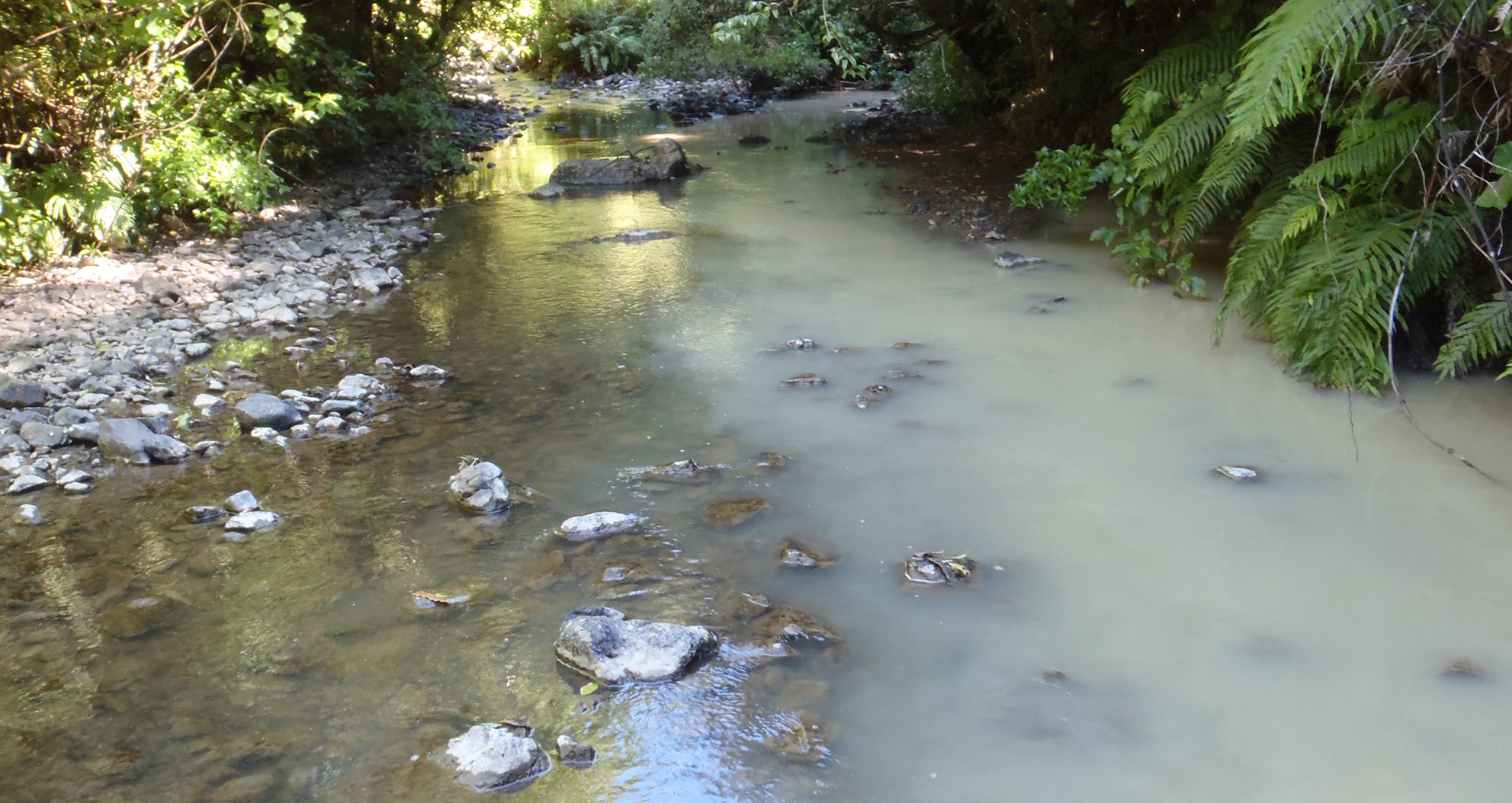 Sediment in the Turitea Stream